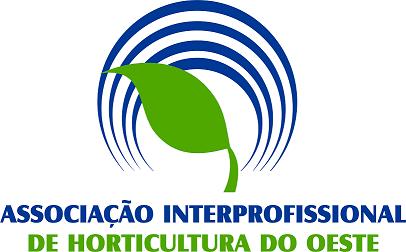 imagem do card