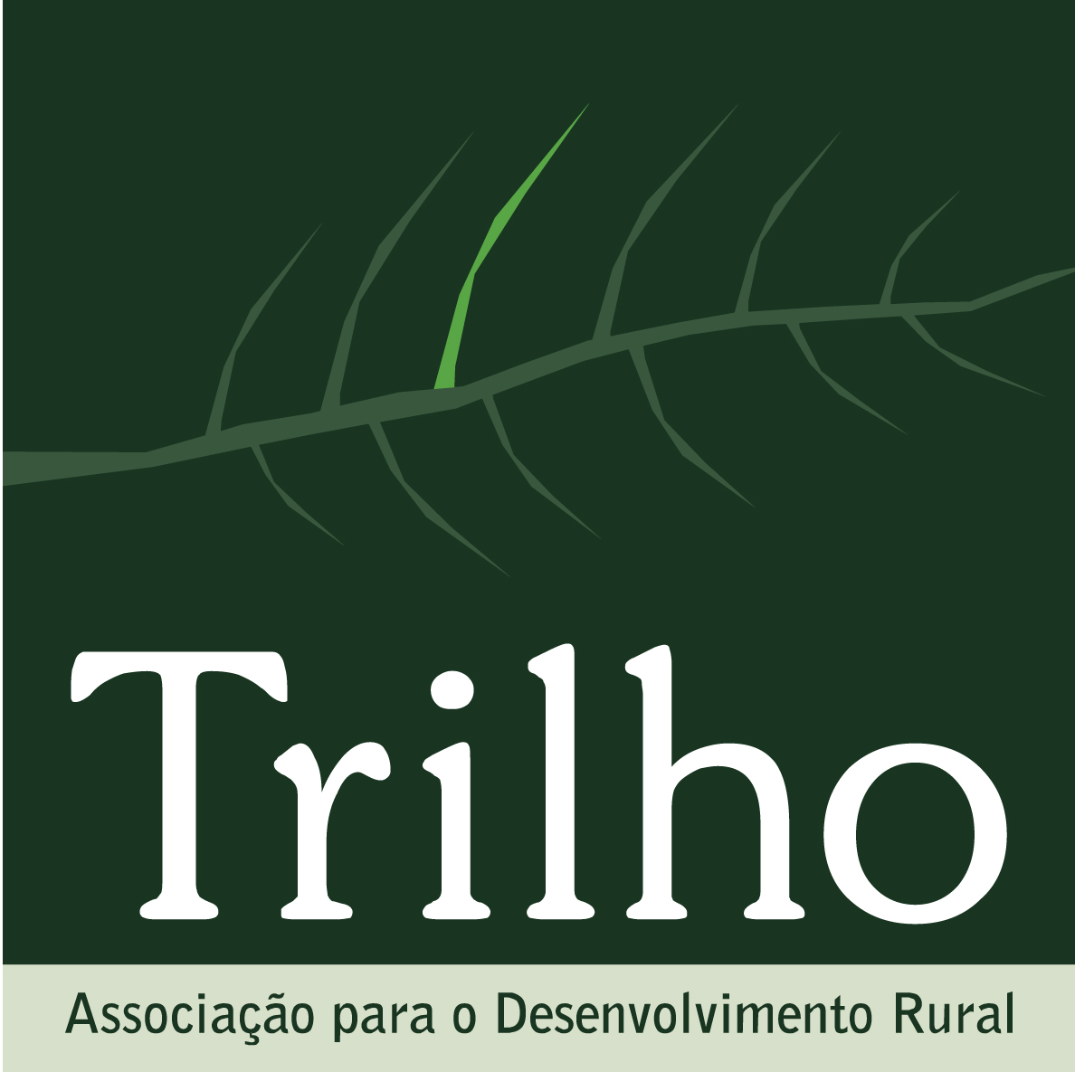 imagem do card