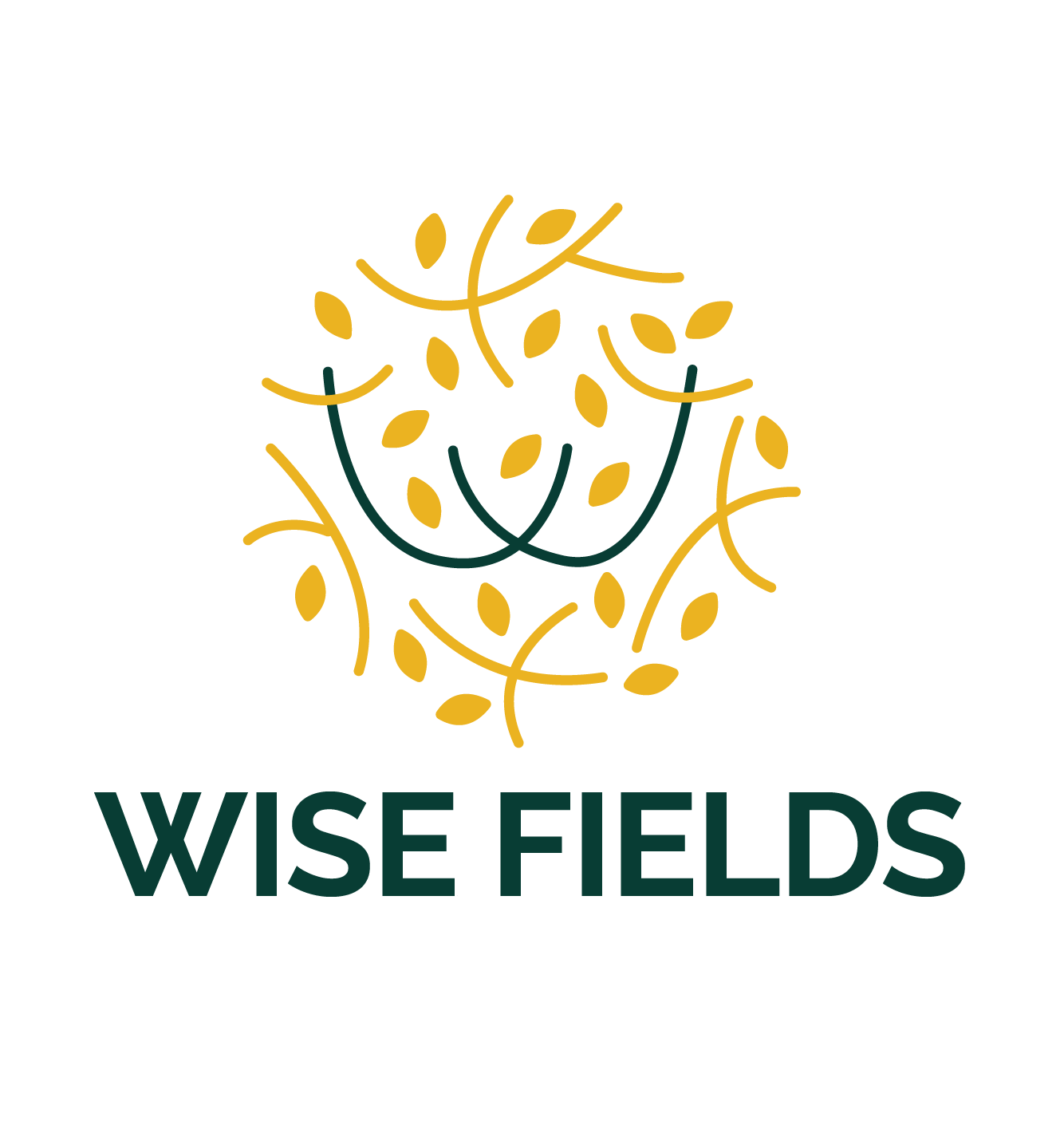 WISE FIELDS