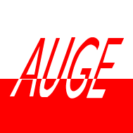 AUGE AUDITORIA E GESTÃO, LDA